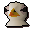 Gull